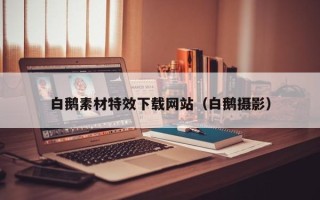 潍坊白鹅素材特效下载网站（白鹅摄影）